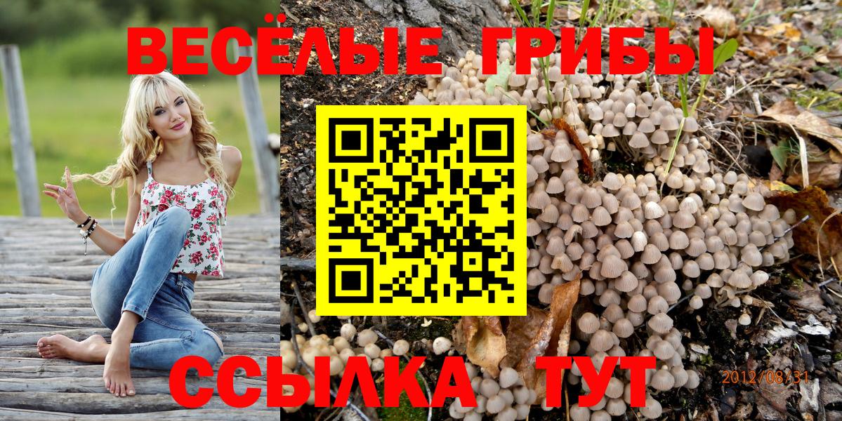 Псилоцибиновые грибы прущие грибы Павлово