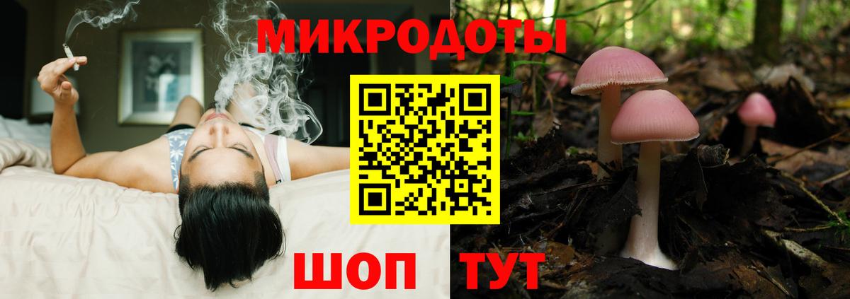 Павлово  где продают наркотики  Вход с VPN  Псилоцибиновые грибы GOLDEN TEACHER  Псилоцибиновые грибы Cubensis 